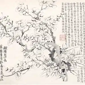 00005339-11