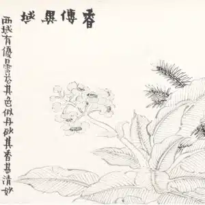 00005339-12