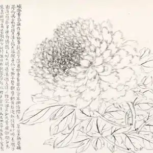 00005339-2