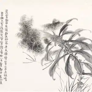 00005339-5