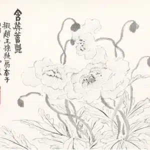00005339-6