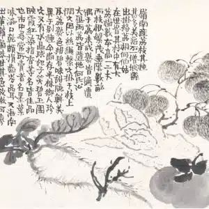 00005339-8