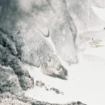 胡念祖（1927－2019）江行日正午
