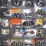 袁金塔（B.1949）青蛙王子