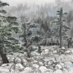 王南雄（B.1943）幽勝美地