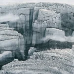 秦立生（B.1952）存在
