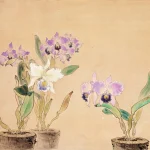 汪汝同（1934－1963 )洋蘭