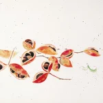 林之助（1917－2008）莢果