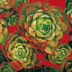 邱于欣（B.1971）春花