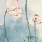 張大千（1899－1983）彩荷圖