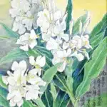 黃鷗波（1917－2003）南薑花