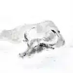 林玉山（1907－2004）水牛