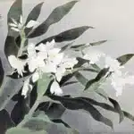 陳進（1907－1998）野薑花
