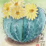 黃鷗波（1917－2003）刺球