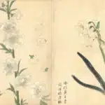 陳永森（1913－1997）寫生雜錄