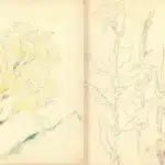 陳永森（1913－1997）寫生雜錄