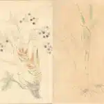 陳永森（1913－1997）寫生雜錄