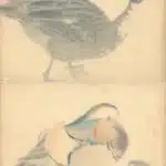 陳永森（1913－1997）寫生雜錄