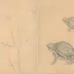 陳永森（1913－1997）寫生雜錄