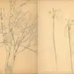 陳永森（1913－1997）寫生雜錄