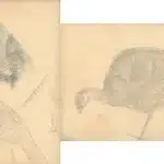 陳永森（1913－1997）寫生雜錄