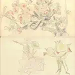 陳永森（1913－1997）寫生雜錄