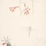 陳永森（1913－1997）寫生雜錄