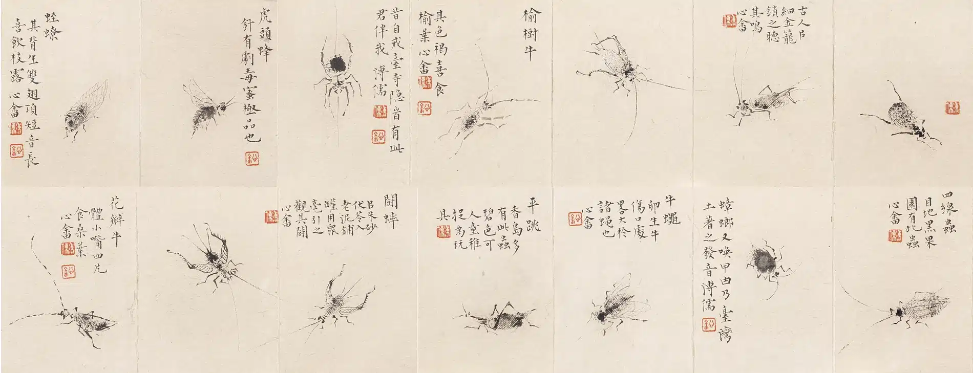 溥儒(溥心畬)(1896-1963)螺紋蟲譜 - 長流美術館