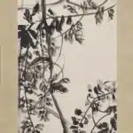 吳昌碩（1844－1927）野藤