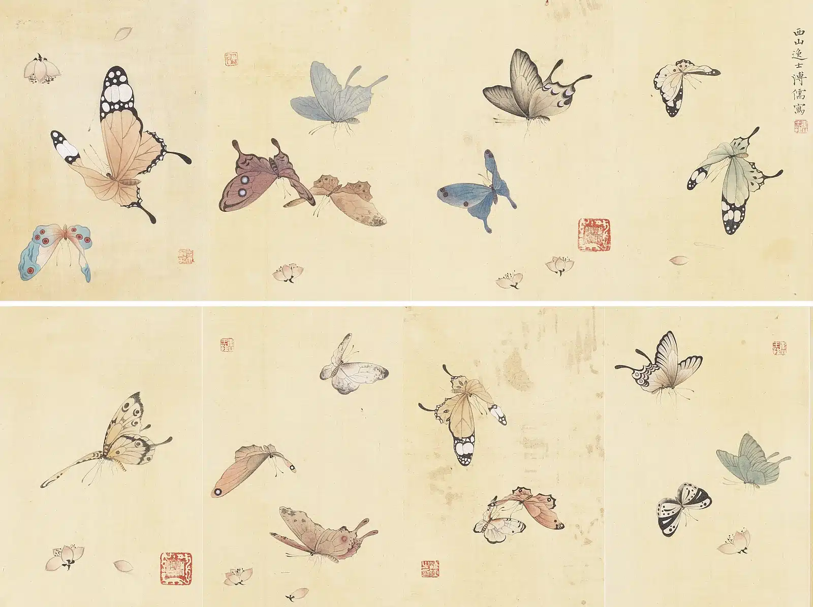 溥儒(溥心畬)(1896-1963)蝴蝶圖冊 - 長流美術館