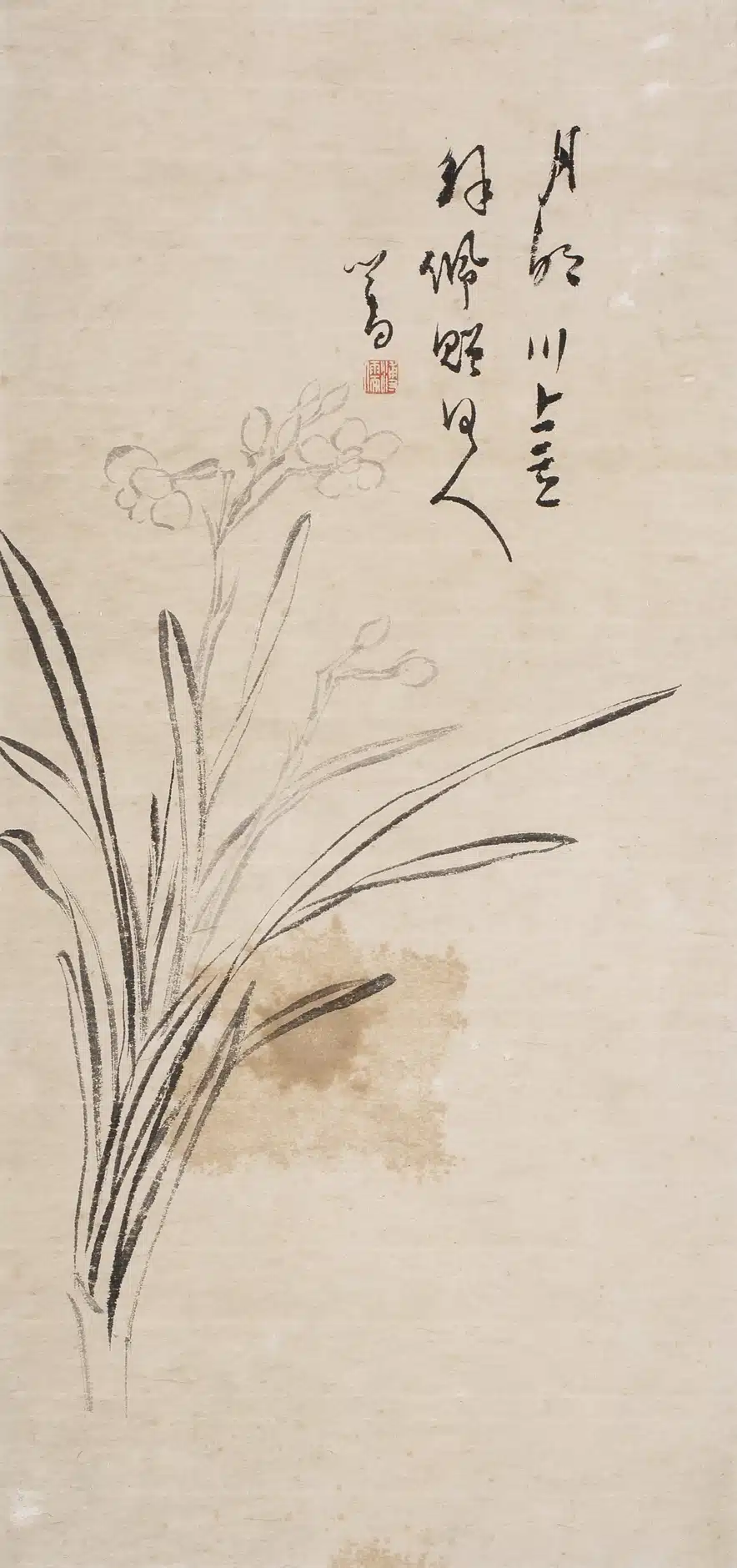 溥儒(溥心畬)(1896-1963)水仙 - 長流美術館