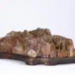大風堂供石