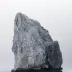 大風堂供石