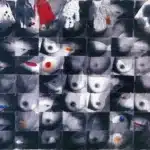 袁金塔（B.1949）觸